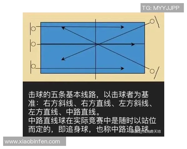 南京乒乓球队防守策略解析：深度剖析乒乓球技术与战术的结合
