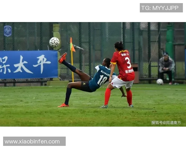 上海排球队边路渗透革新探索与实践的深度分析与展望 上海排球队边路渗透革新探索与实践的深度分析与展望