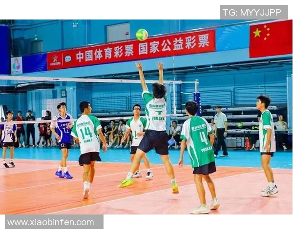 广州排球队的节奏体系与战术创新探索之路