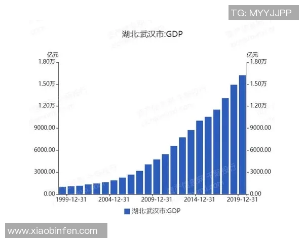 武汉羽毛球队技术表现数据分析与提升策略研究