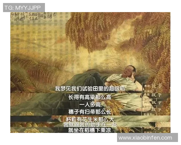 上千万足球明星的梦想与奋斗:从草根到巅峰的传奇之路