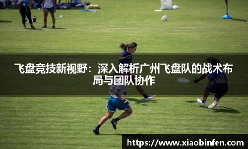 熊猫体育
