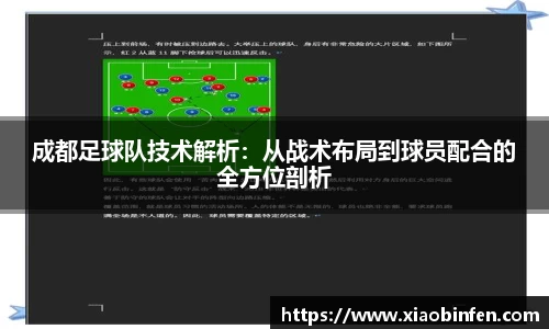 熊猫体育