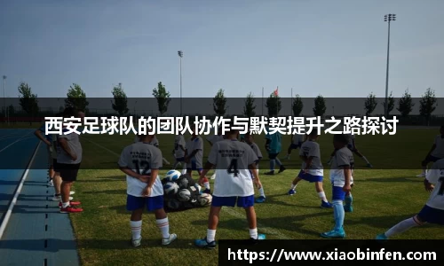 熊猫体育