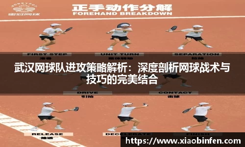 熊猫体育
